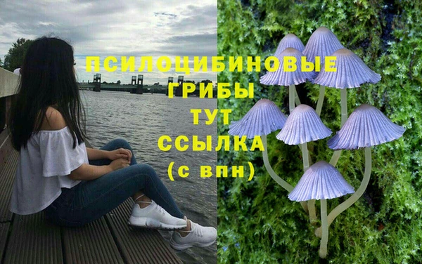MDMA Premium VHQ Абаза