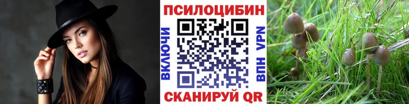Галлюциногенные грибы GOLDEN TEACHER  KRAKEN вход  Липецк 