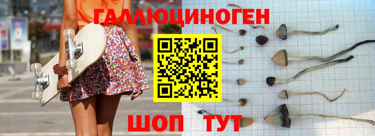 Липецк  Псилоцибиновые грибы Magic Shrooms  Галлюциногенные грибы MAGIC MUSHROOMS  Вход с VPN 